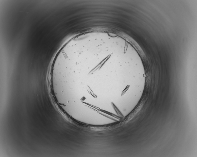 X0000086910852200705141701