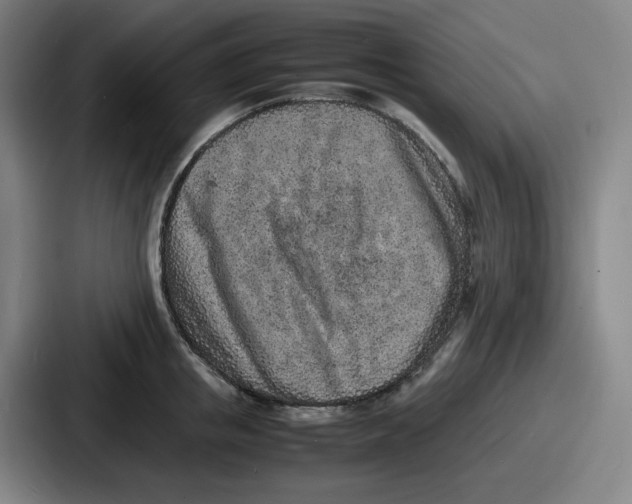 X0000086910853200705141701