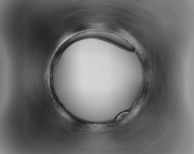 X0000086910854200705141701