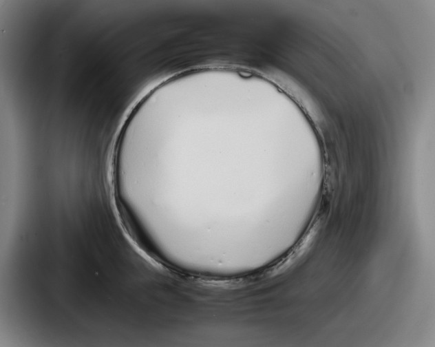 X0000086910855200705141701