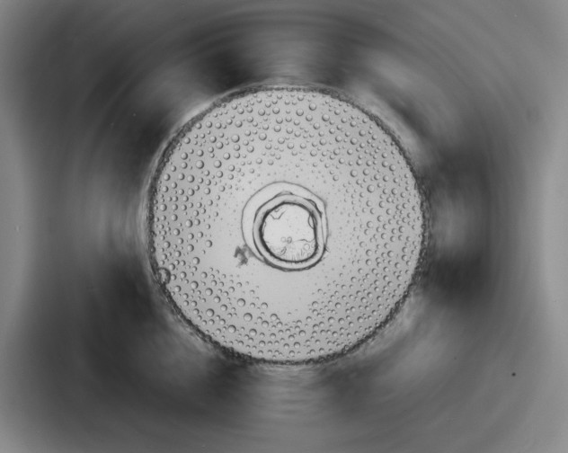 X0000086910856200705141701