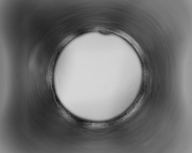 X0000086910857200705141701