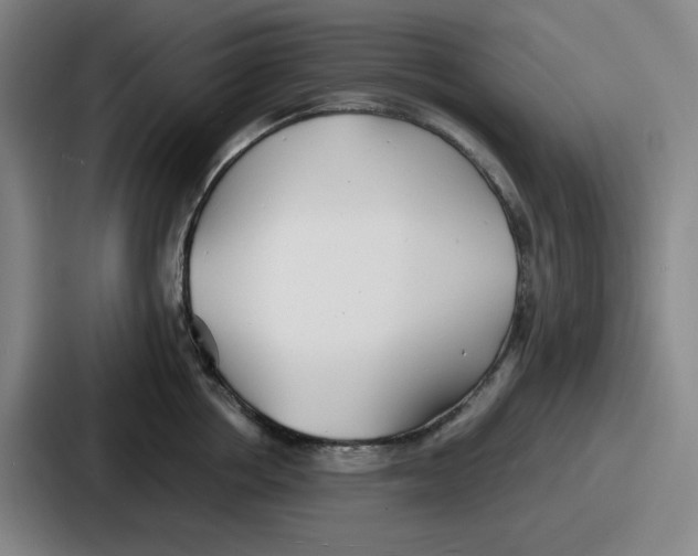 X0000086910858200705141701