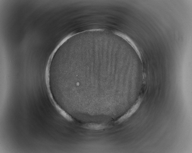 X0000086910859200705141701