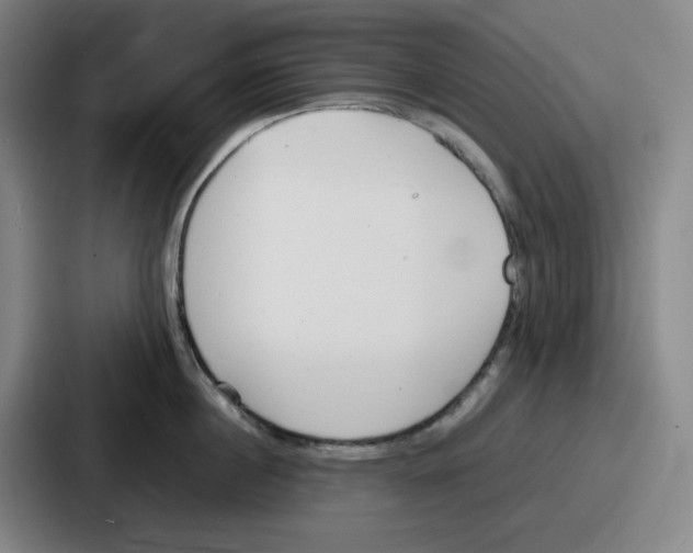 X0000086910860200705141701