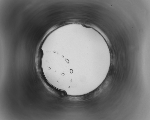 X0000086910861200705141701