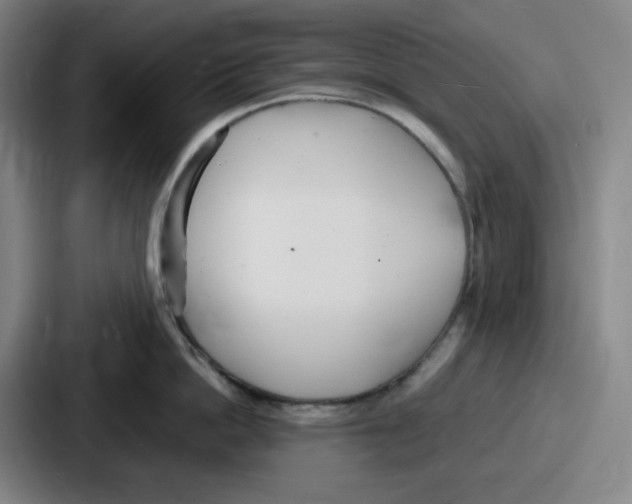 X0000086910862200705141701