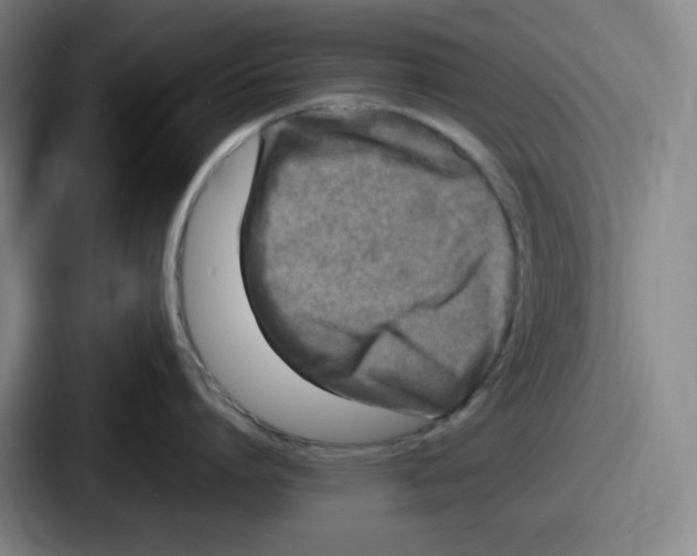 X0000086910864200705141701