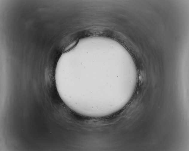 X0000086910867200705141700