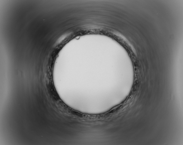 X0000086910871200705141700