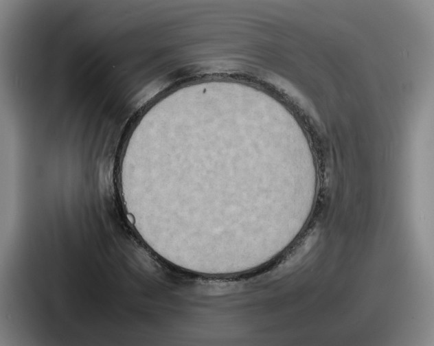 X0000086910873200705141700