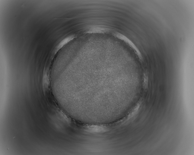 X0000086910874200705141700