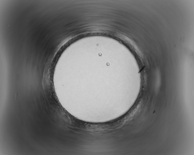 X0000086910875200705141700