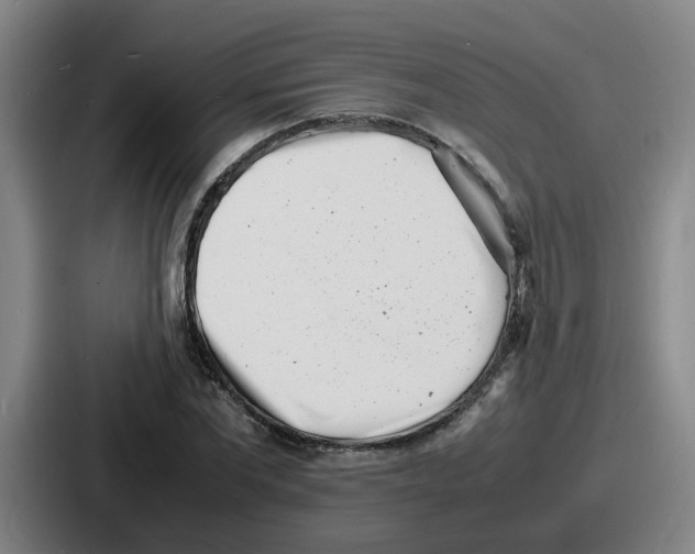 X0000086910877200705141700