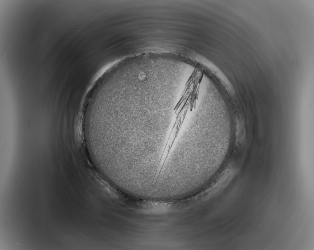X0000086910878200705141700