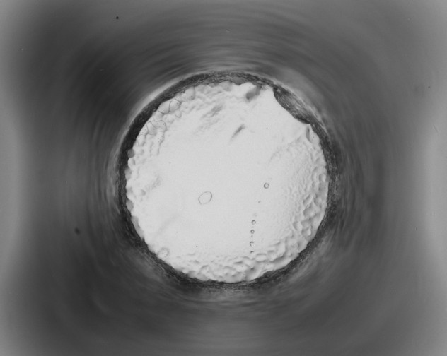 X0000086910879200705141700