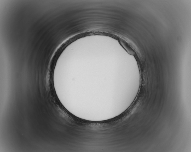 X0000086910880200705141700