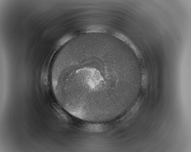 X0000086910882200705141700