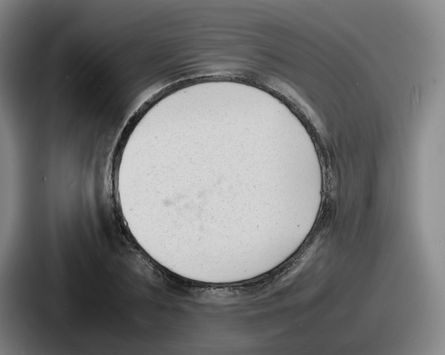 X0000086910883200705141700