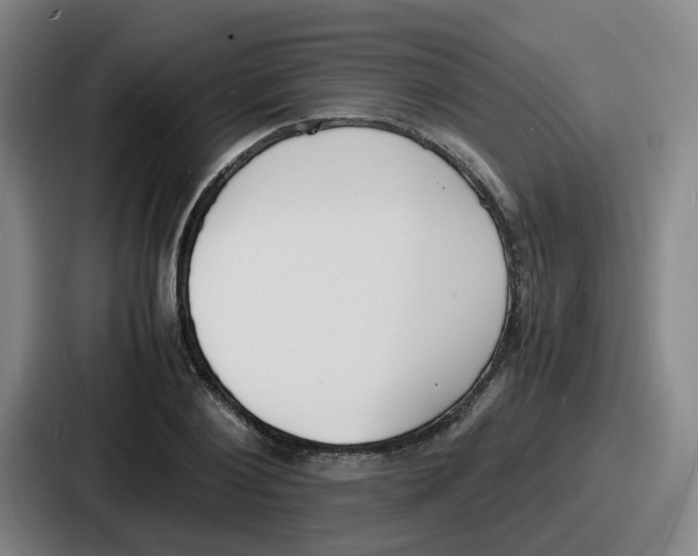 X0000086910884200705141700