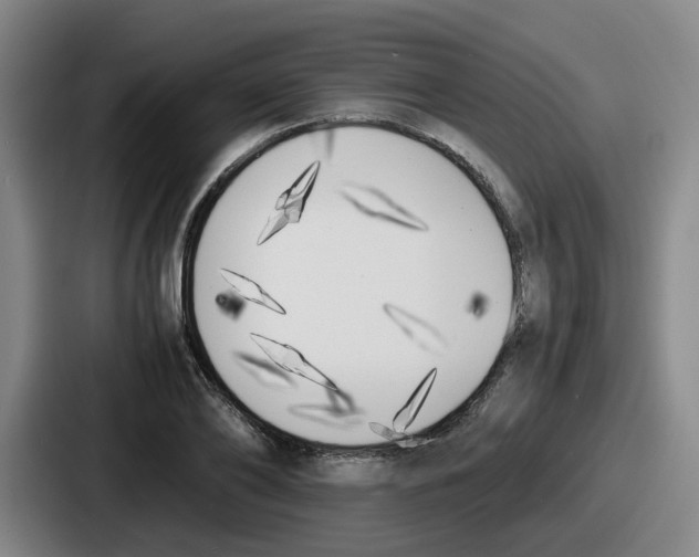 X0000086910886200705141700