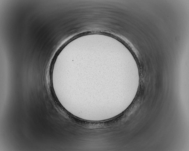 X0000086910887200705141700