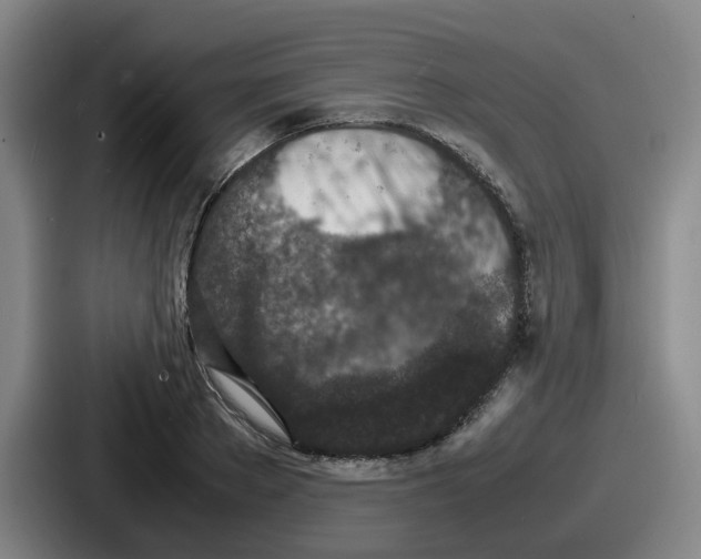 X0000086910889200705141700