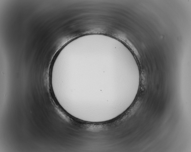 X0000086910890200705141700