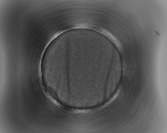 X0000086910892200705141700