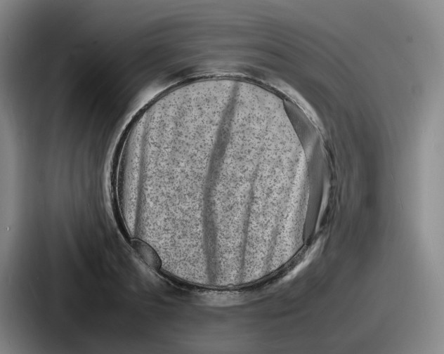 X0000086910893200705141700