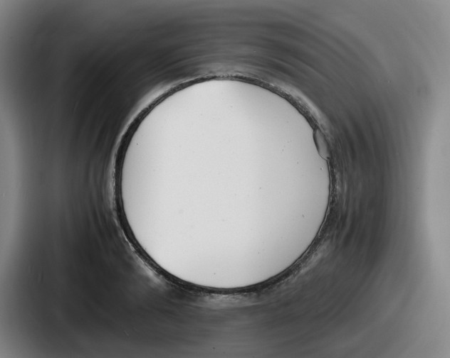 X0000086910894200705141700