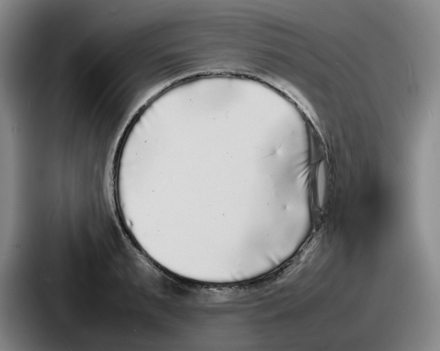 X0000086910895200705141700