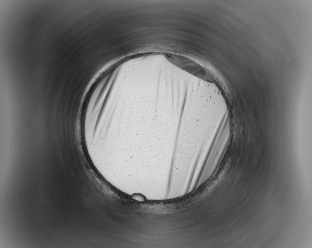 X0000086910896200705141700