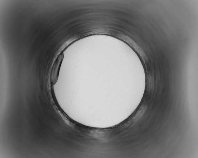 X0000086910898200705141700