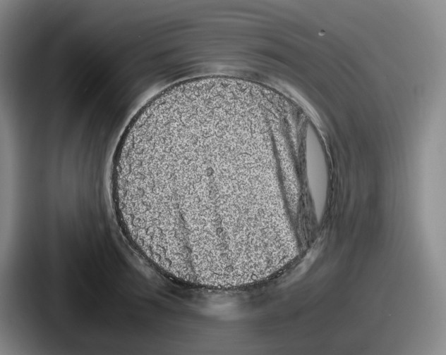 X0000086910899200705141700