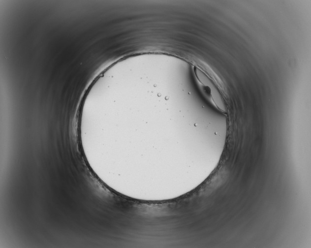 X0000086910900200705141700