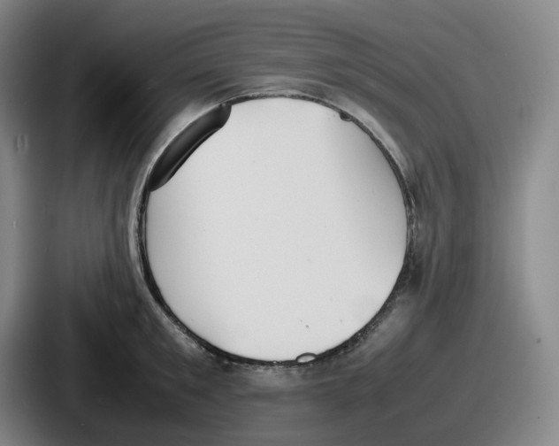 X0000086910901200705141700