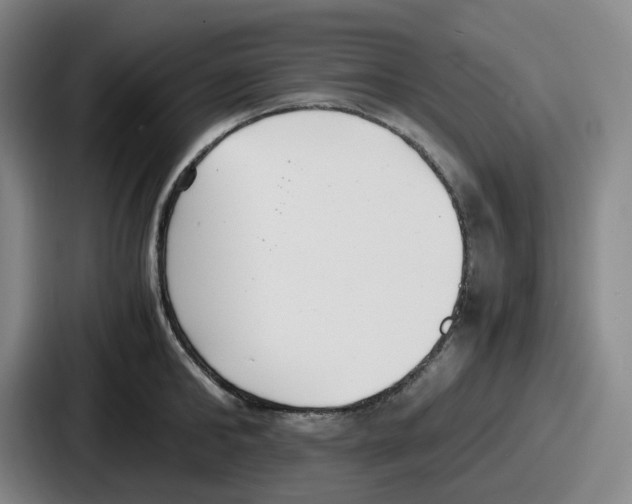 X0000086910902200705141700