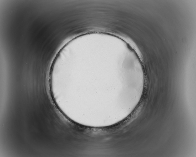 X0000086910903200705141700