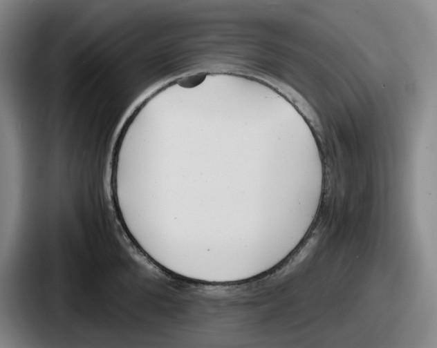 X0000086910904200705141700