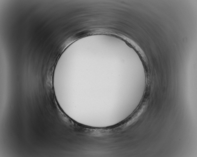 X0000086910905200705141700