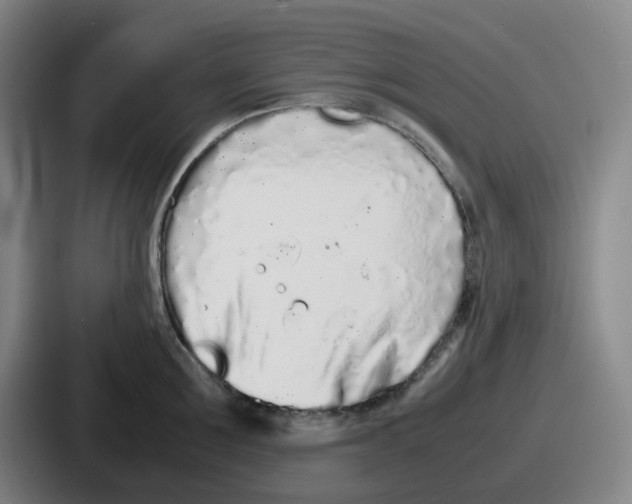 X0000086910907200705141700