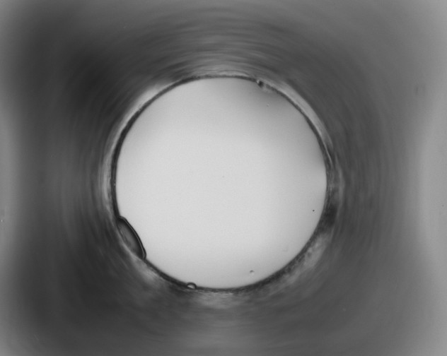 X0000086910909200705141700