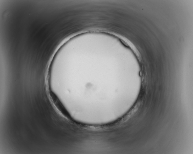 X0000086910911200705141700