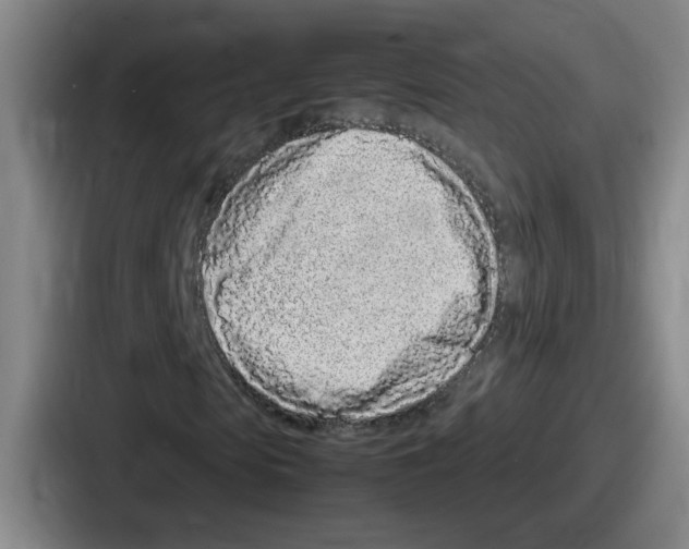 X0000086910913200705141659