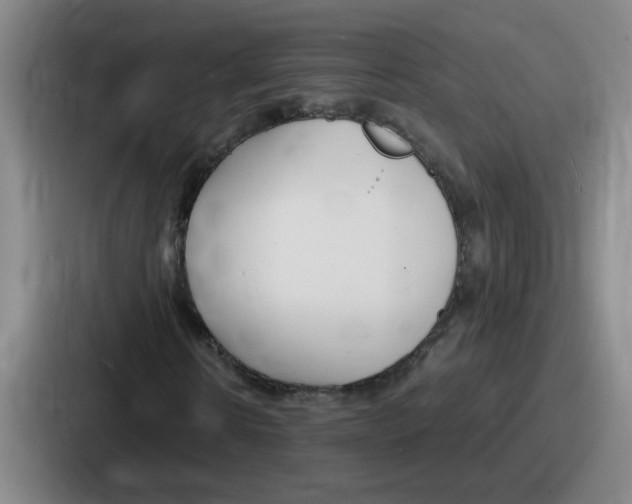 X0000086910914200705141659