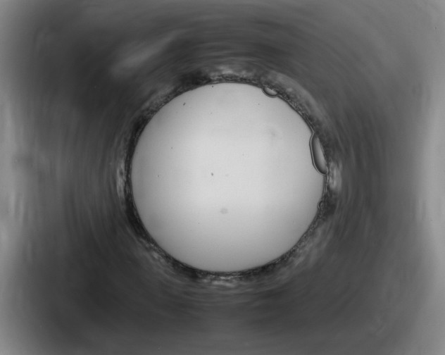 X0000086910915200705141659