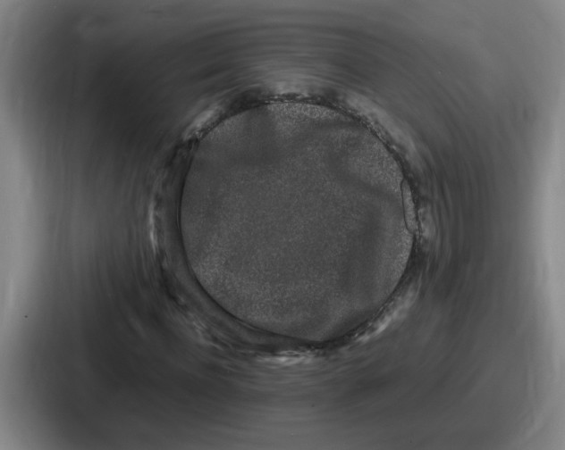 X0000086910916200705141659