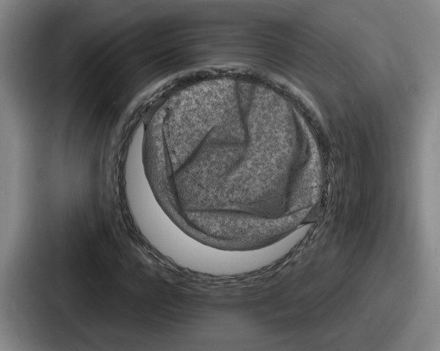 X0000086910920200705141659