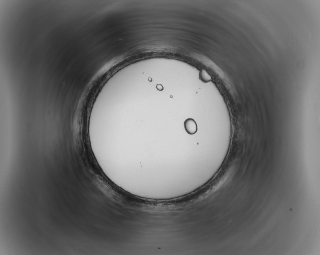 X0000086910922200705141659